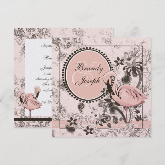 Flamingo Paradise Kaart (Voorkant / Achterkant)