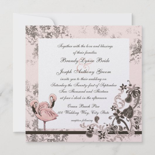 Flamingo Paradise Kaart (Achterkant)