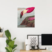 FLAMINGO PARK Audobon American Flamingo Poster (Thuiskantoor)
