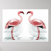 FLAMINGO PARK Flamingo Flock Fine Art Print (Voorkant)