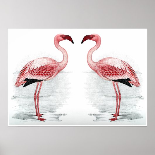 FLAMINGO PARK Flamingo Flock Fine Art Print (Voorkant)