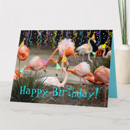 Flamingo Party Birds Happy Birthday Kaart