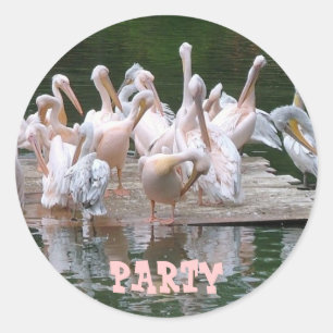 Flamingo Party Ronde Sticker