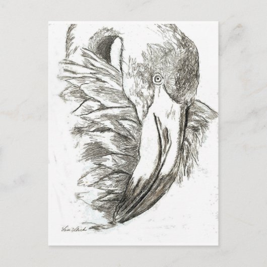 Flamingo patronen briefkaart (Voorkant)