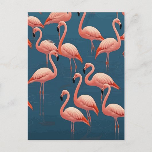 Flamingo patroon briefkaart (Voorkant)