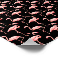 Flamingo Patroon Roze Vogel Tropische Dierenliefhe