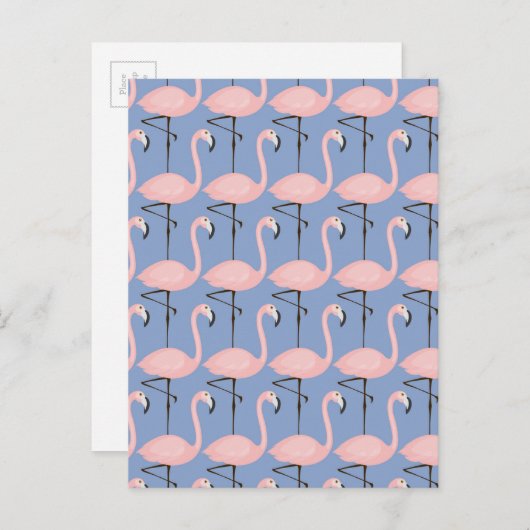 Flamingo patroon van aanbesteding briefkaart (Voorkant / Achterkant)