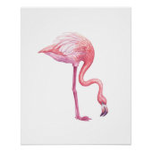 Flamingo Perfect Poster (Voorkant)