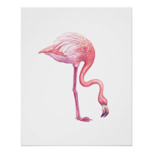 Flamingo Perfect Poster