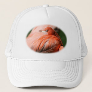 Flamingo Pet