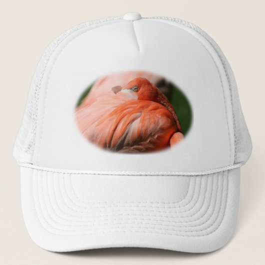 Flamingo Pet (Voorkant)