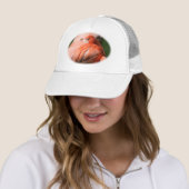 Flamingo Pet (In situ)