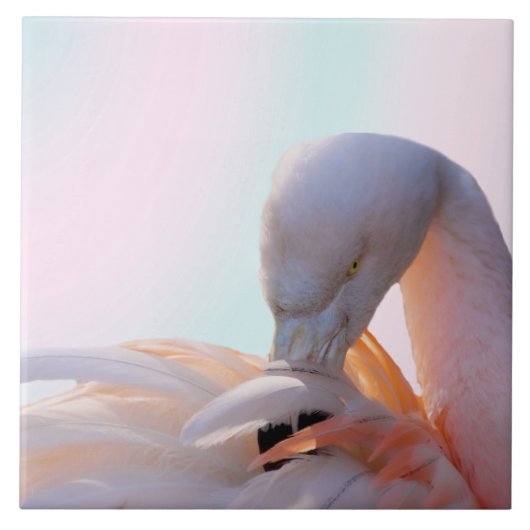 Flamingo Pink Mint Tegeltje (Voorkant)