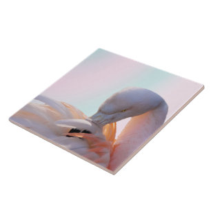 Flamingo Pink Mint Tegeltje