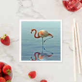 Flamingo Pink Reflection Wildlife Foto Servet (Insitu)