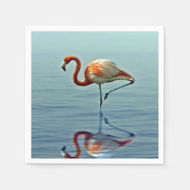 Flamingo Pink Reflection Wildlife Foto Servet