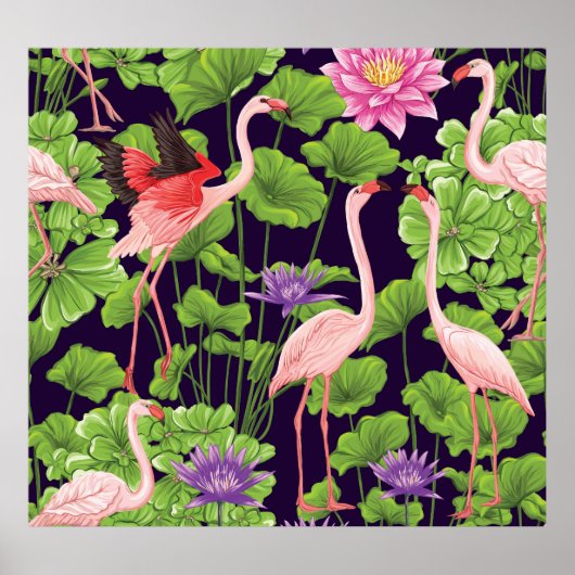 Flamingo, planten, zwarte achtergrond. poster (Voorkant)