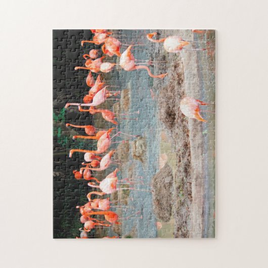 Flamingo Pond Singapore. Legpuzzel (Verticaal)