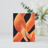 Flamingo Portrait Briefkaart (Staand voorkant)
