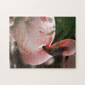 Flamingo Portrait Legpuzzel (Horizontaal)