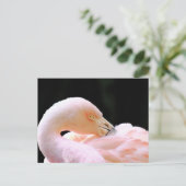Flamingo Post Card Briefkaart (Staand voorkant)