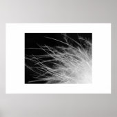 flamingo poster (Voorkant)