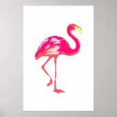 Flamingo Poster (Voorkant)