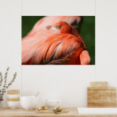 Flamingo Poster (Keuken)