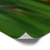 flamingo poster (Hoek)