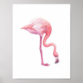 Flamingo Poster (Voorkant)