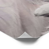 Flamingo Poster (Hoek)