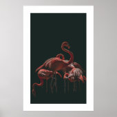 Flamingo Poster (Voorkant)