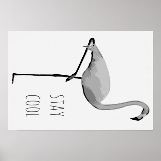 Flamingo Poster #2 (Voorkant)