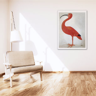Flamingo -  Poster voor fijne kunst