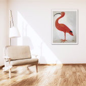 Flamingo - Poster voor fijne kunst