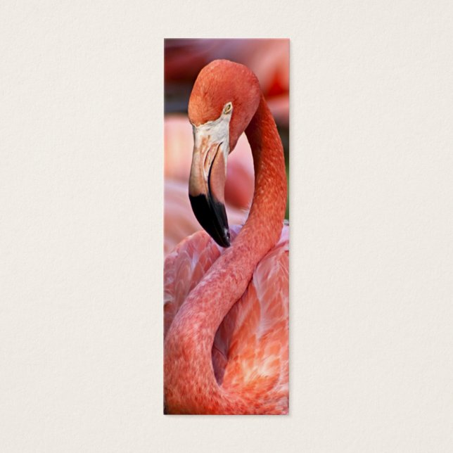 Flamingo-profielkaart Mini Visitekaartjes (Voorkant)