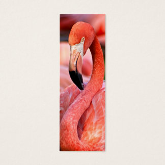 Flamingo profielkaart of Bladwijzer Mini Visitekaartjes