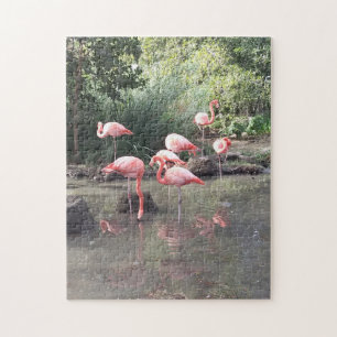Flamingo Puzzle Legpuzzel