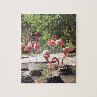 Flamingo Puzzle Legpuzzel