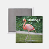 Flamingo Refkoelkast Magnet (Voorkant / Achterkant)