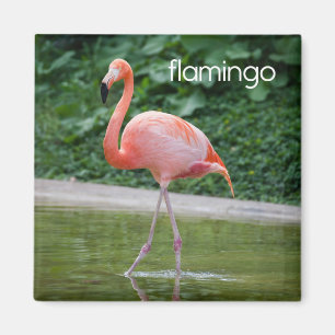 Flamingo Refkoelkast Magnet