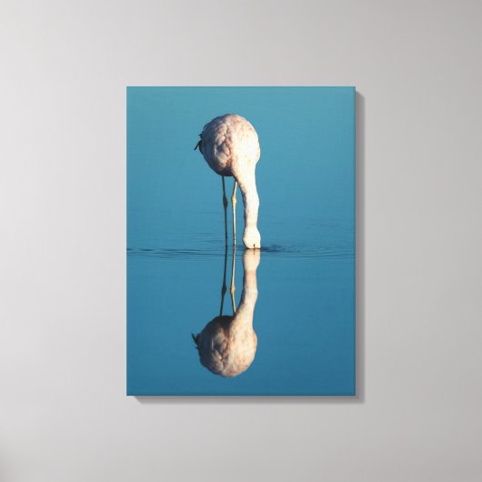 Flamingo Reflection, Laguna Chaxa, Atacama Canvas Afdruk (Voorkant)