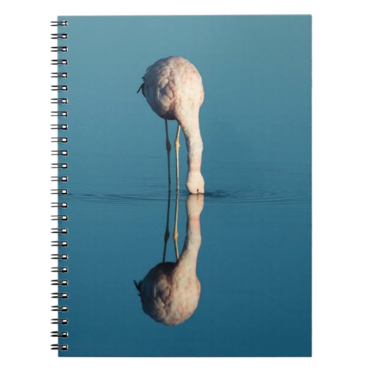 Flamingo Reflection, Laguna Chaxa, Atacama Notitieboek (Voorkant)