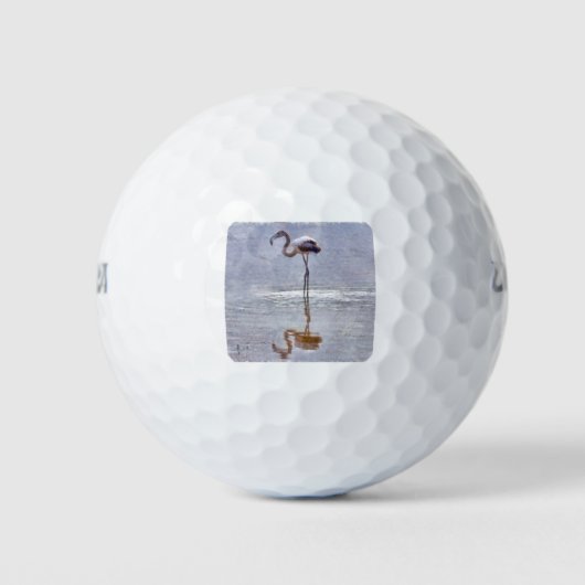 Flamingo Ripples and Reflections Waterverf Golfballen (Voorkant)