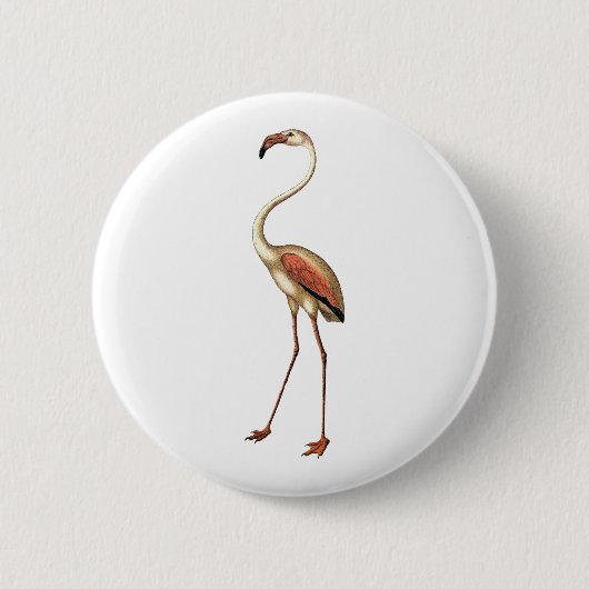 Flamingo Ronde Button 5,7 Cm (Voorkant)