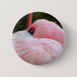 Flamingo Ronde Button 5,7 Cm