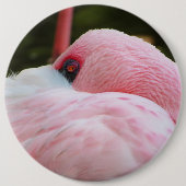 Flamingo Ronde Button 6,0 Cm (Voorkant)