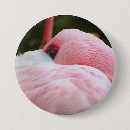 Flamingo Ronde Button 7,6 Cm (Voorkant)