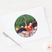 Flamingo Ronde Sticker (Envelop)
