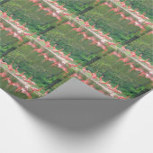 Flamingo Row bij het Leermeer, vogelroze wild Cadeaupapier (Hoek)